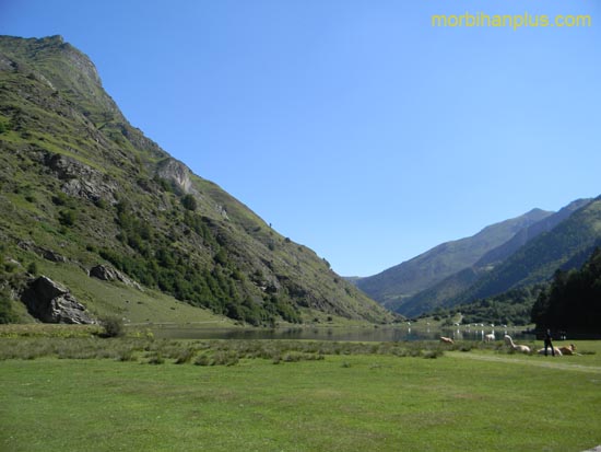 DSCN0515