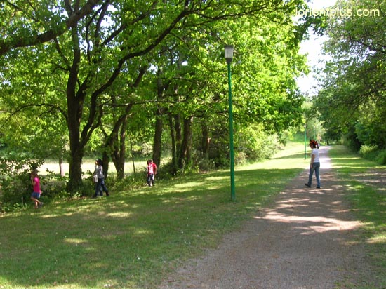 DSCN2406