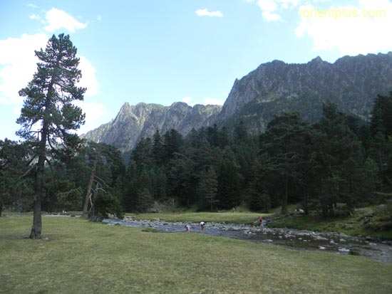 DSCN3947