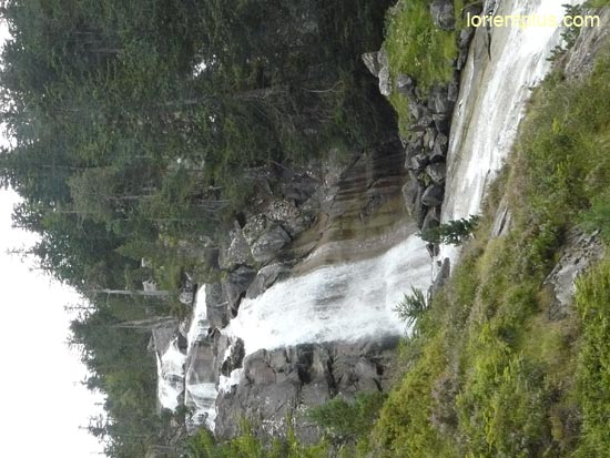 P1020639